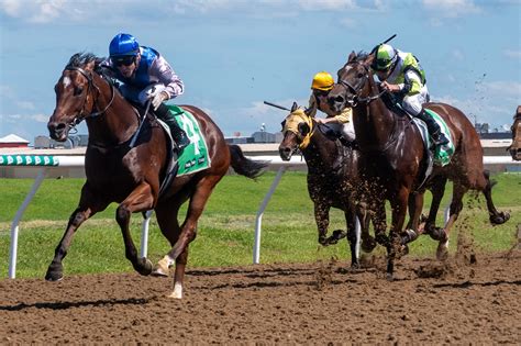 harness racing results today.